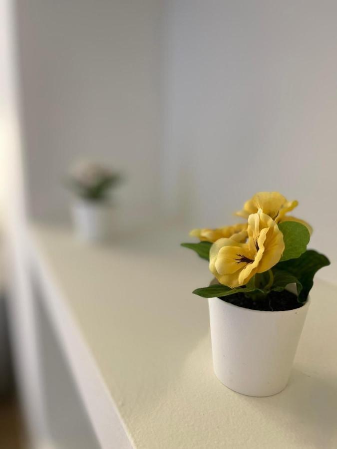 米兰A Casa Di Beatrice公寓 外观 照片